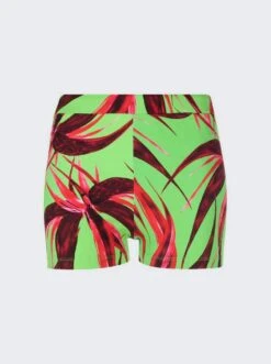 Ribbed Knit Shorts Green With Red Flowers