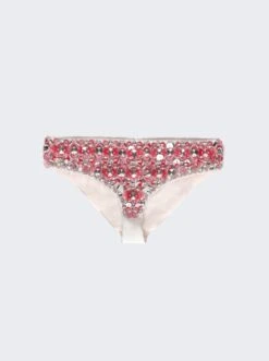 Miu Miu Embroidered Silk Bottoms Opal