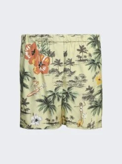 Miu Miu Hawaii Short Pistachio